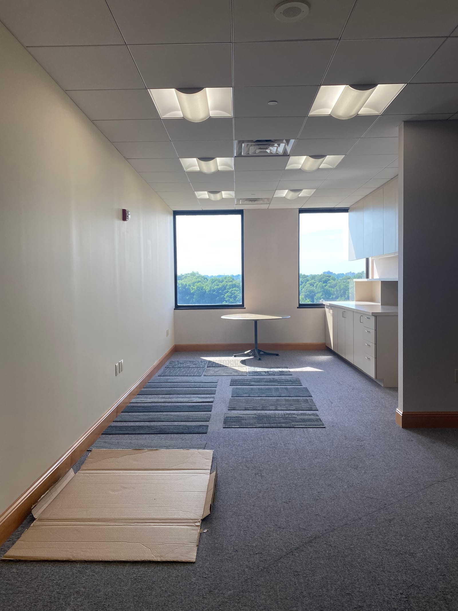 A multi-tenant office building's law-firm suite build-out, a tenant build-out painting project completed by Straight Line Painting