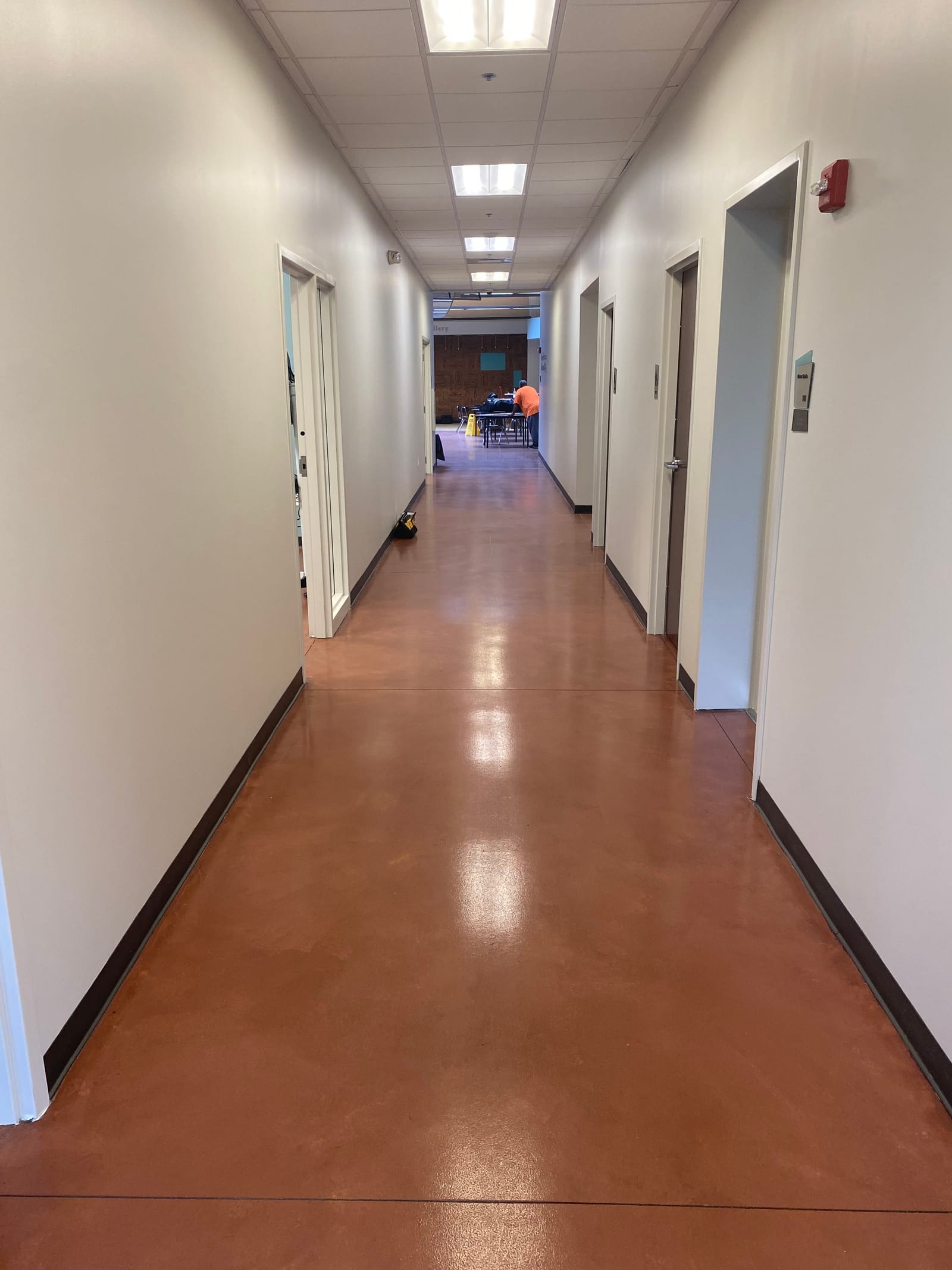 Finished corridor at the Rainey Institute, a crisp cut line between the dark accent band and the white ceiling